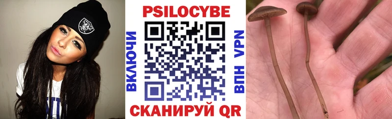 Псилоцибиновые грибы мухоморы Октябрьский